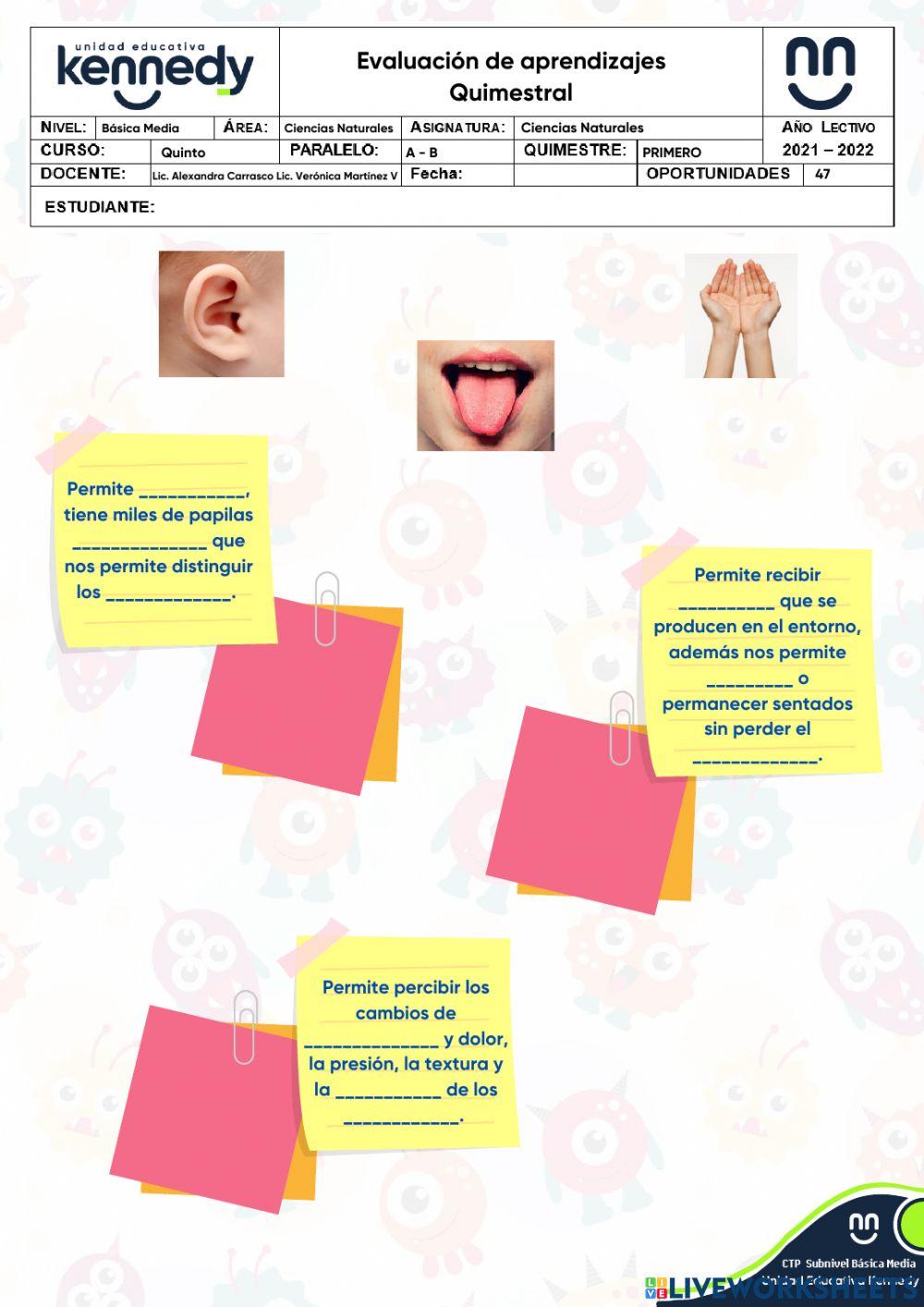 UE Kennedy - Evaluación 1Q Ciencias Naturales