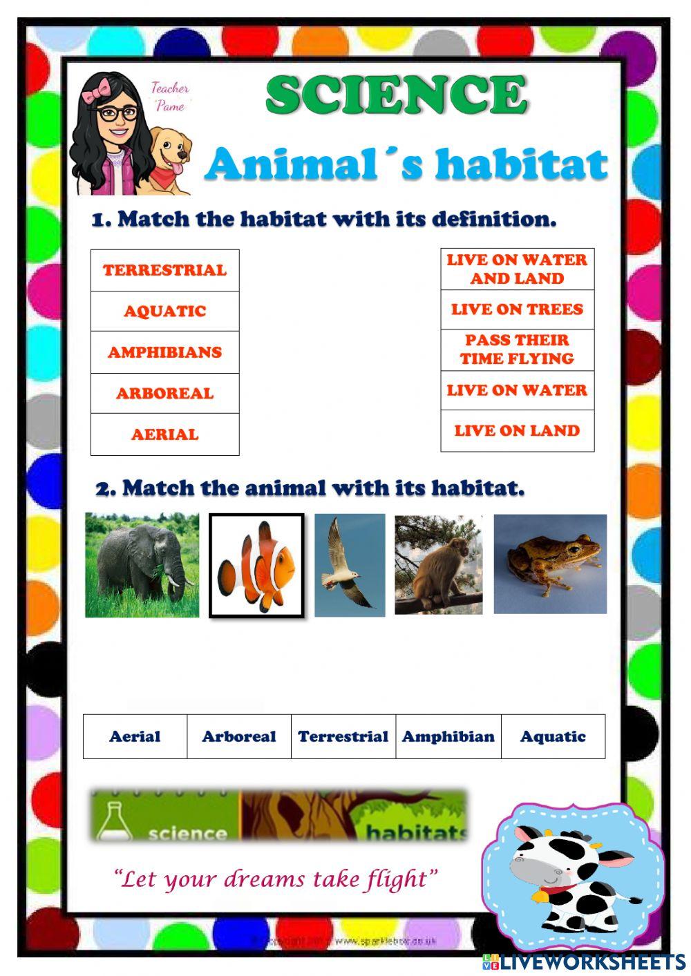 Habitat of animals