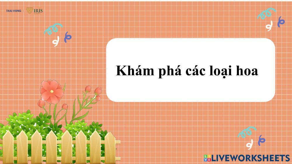 Khám phá các loài hoa