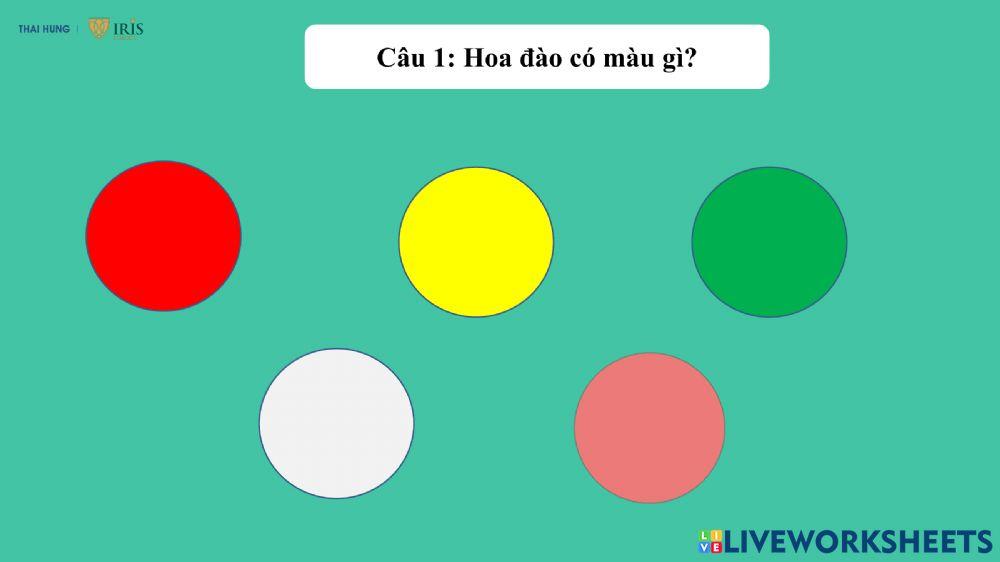 Khám phá các loài hoa