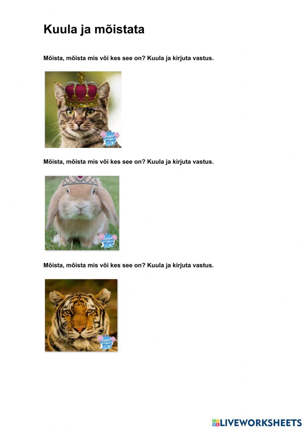 Kuula ja lahenda ülesanded