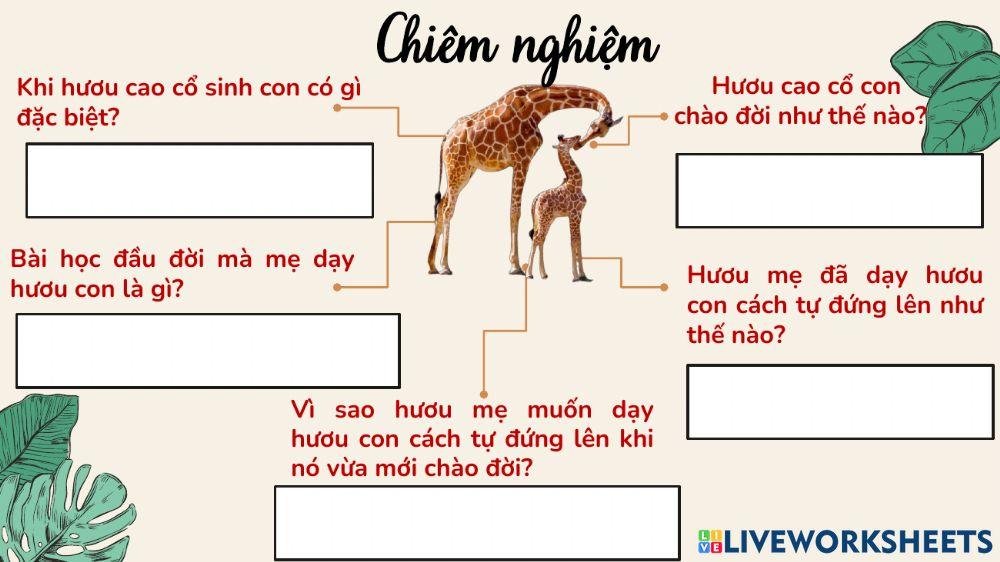 Giờ đọc sách - Bài học từ hươu cao cổ