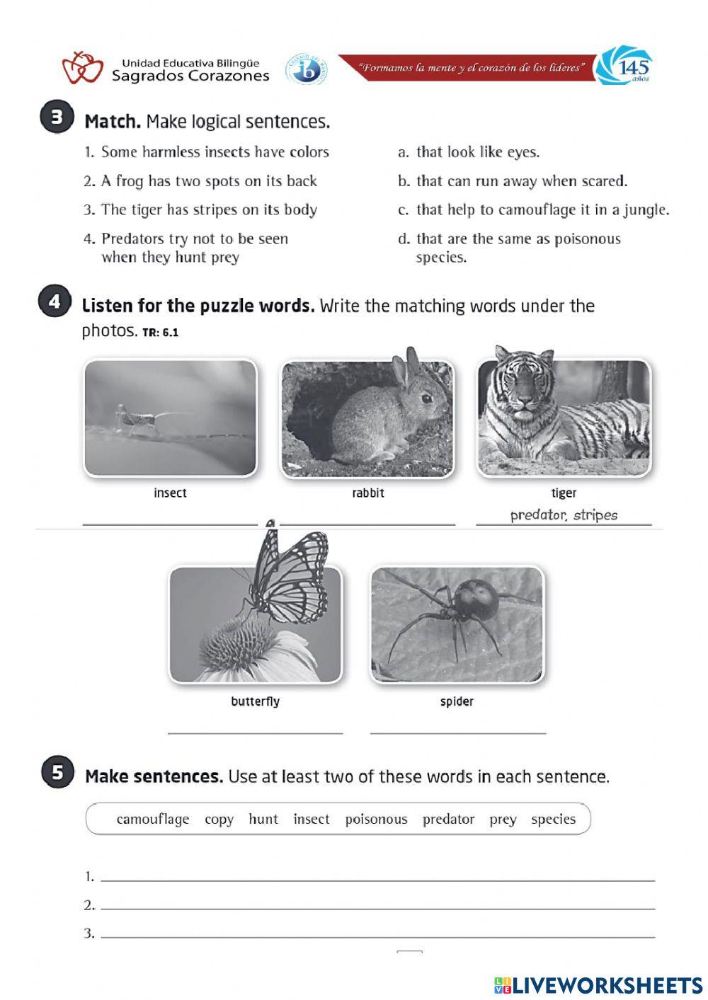 Vocabulary 6 - 6th Grade