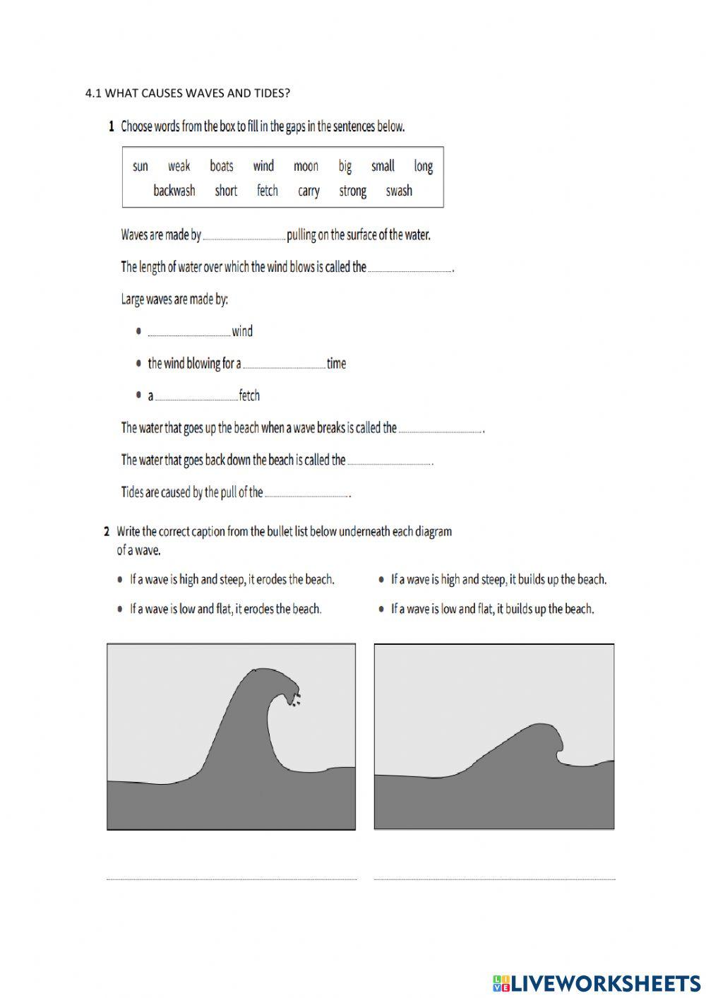 YEAR 8 4.1 WORKSHEET