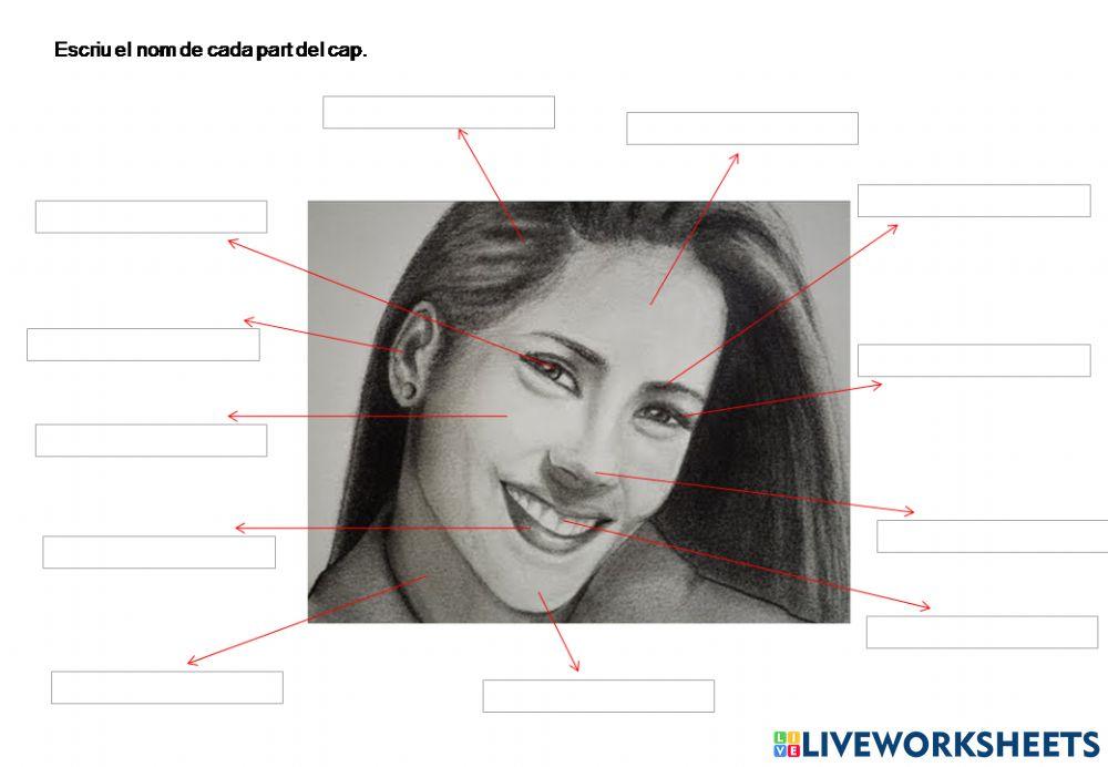 Lesparts del cap