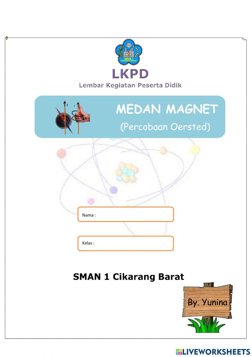 Medan magnet
