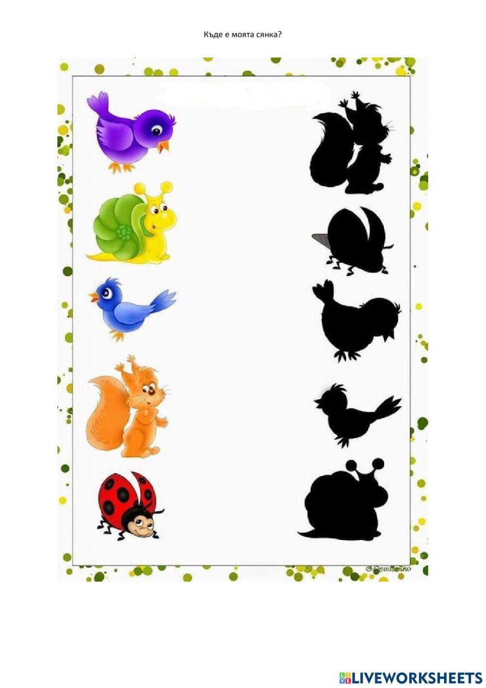 Коя е моята сянка?