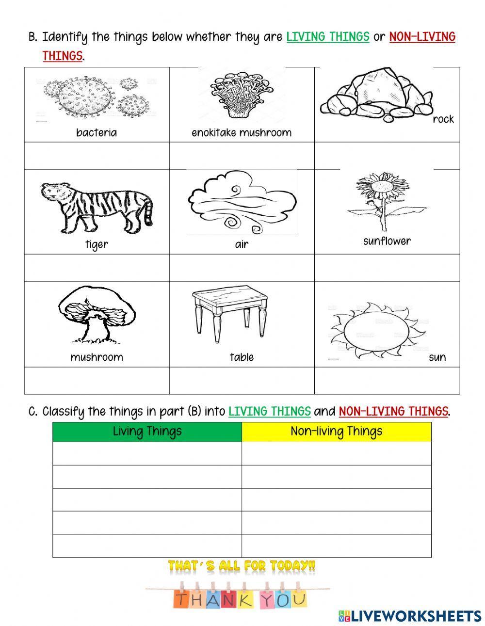 Living things (Recap)