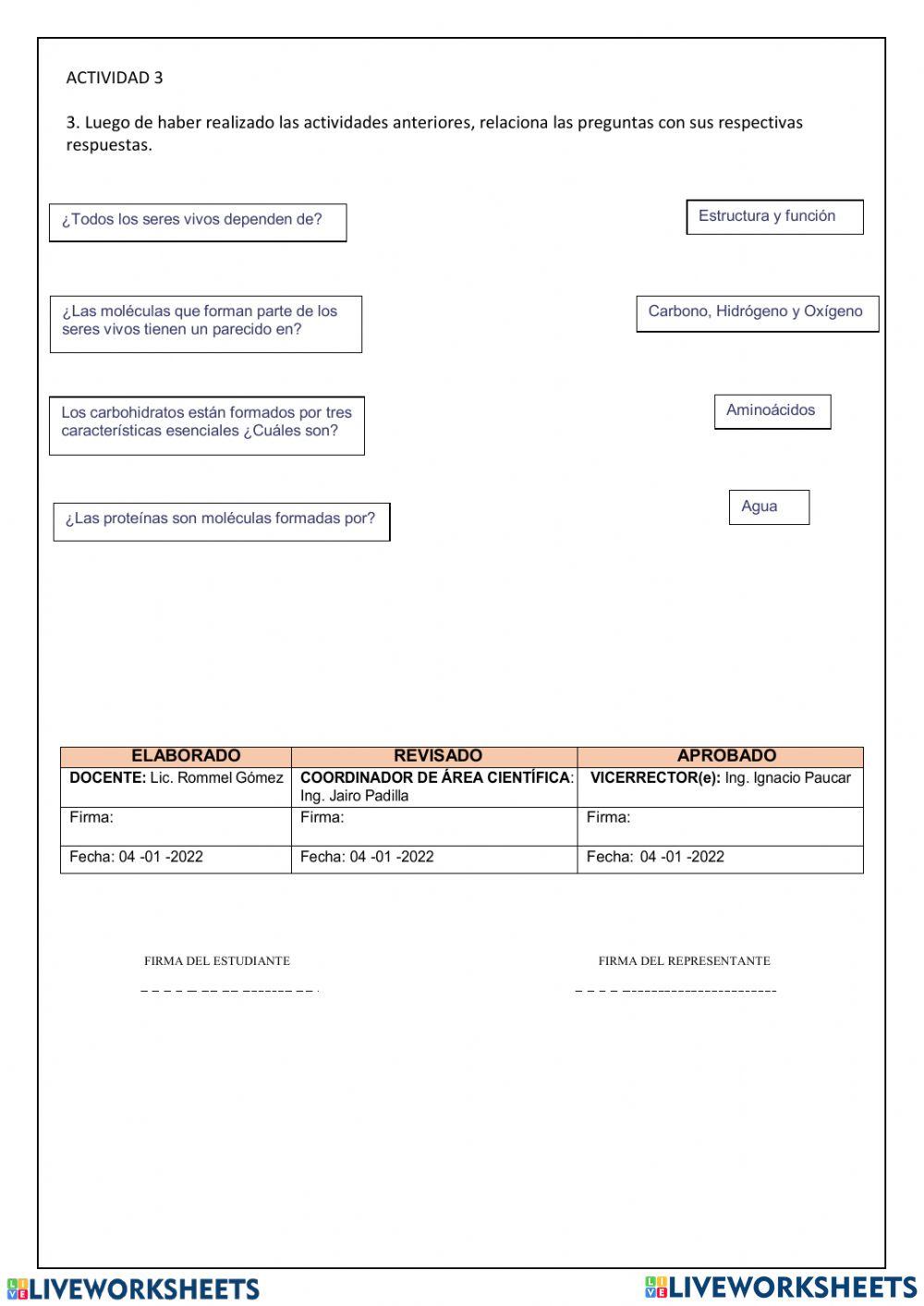 -Pirámide Alimenticia- LAS BIOMOLÉCULAS