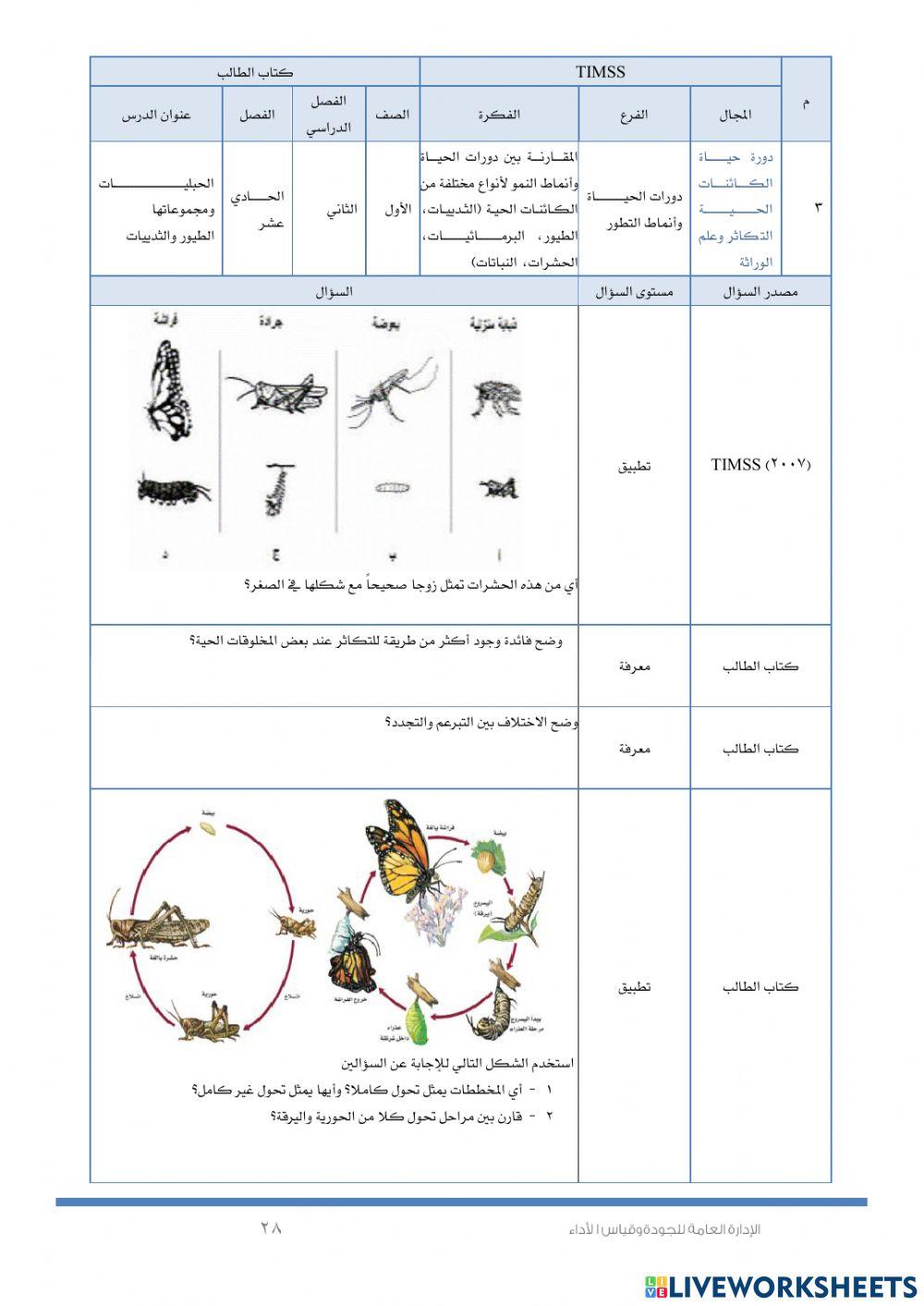 2الحبليات و مجموعاتها (timss)