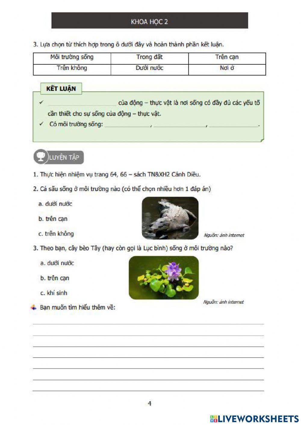 Môi trường sống