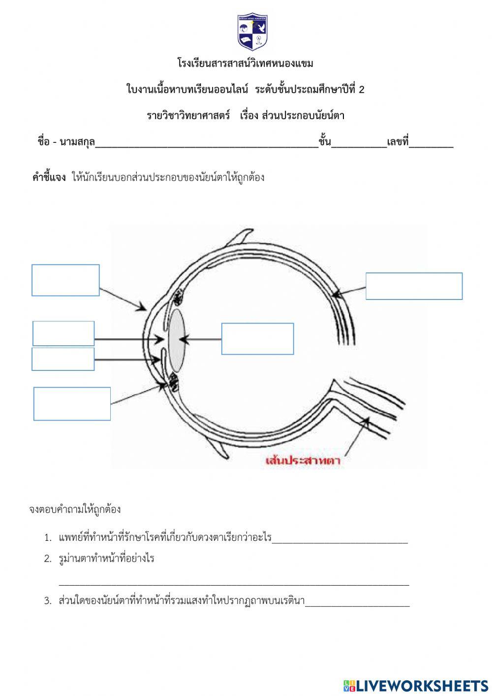 ส่วนประกอบของนัยน์ตา