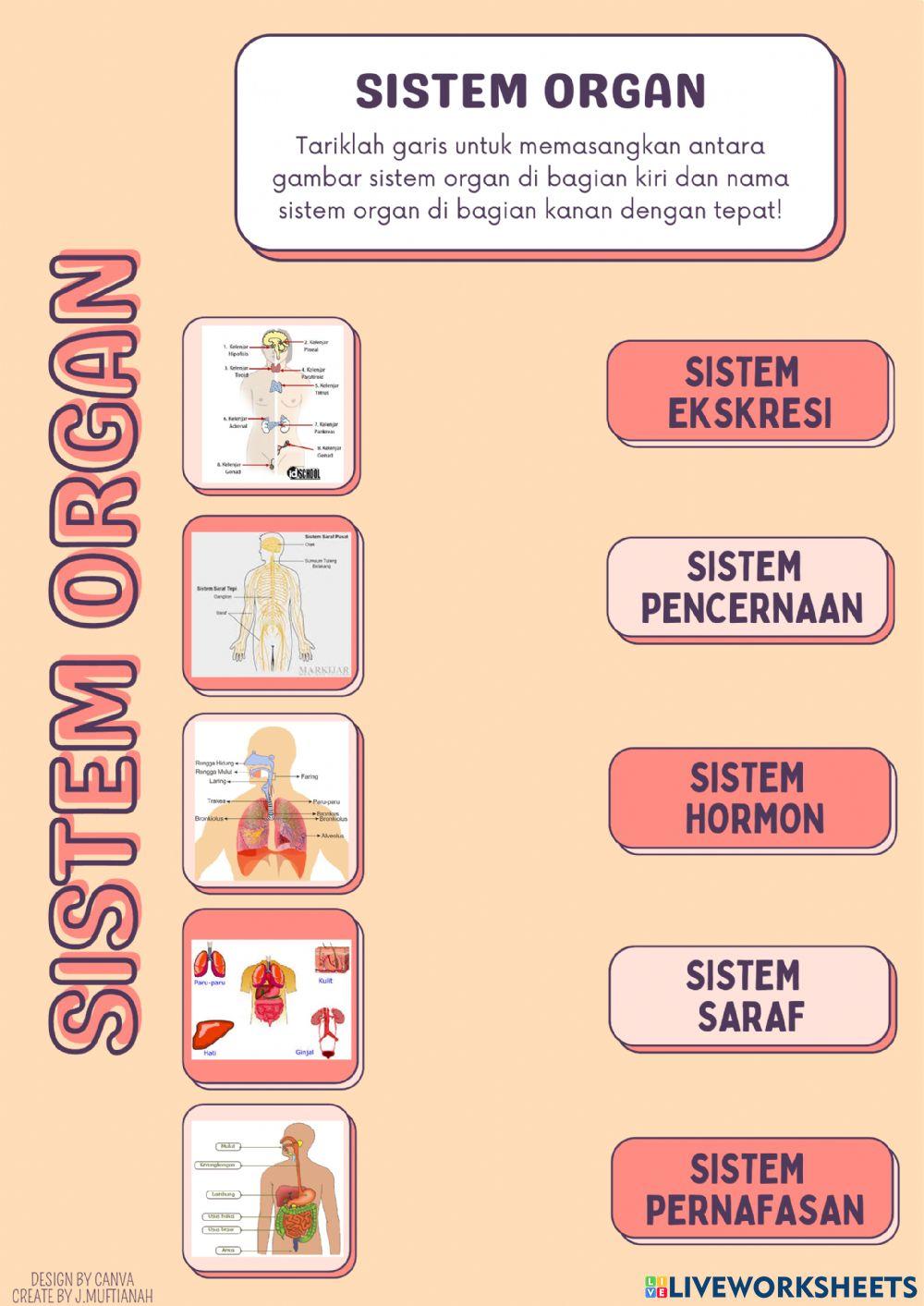Sistem Organisasi dalam Kehidupan