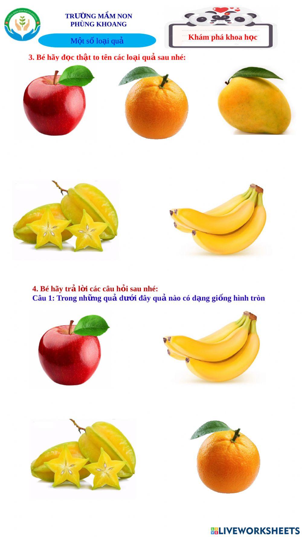 Khám phá khoa học