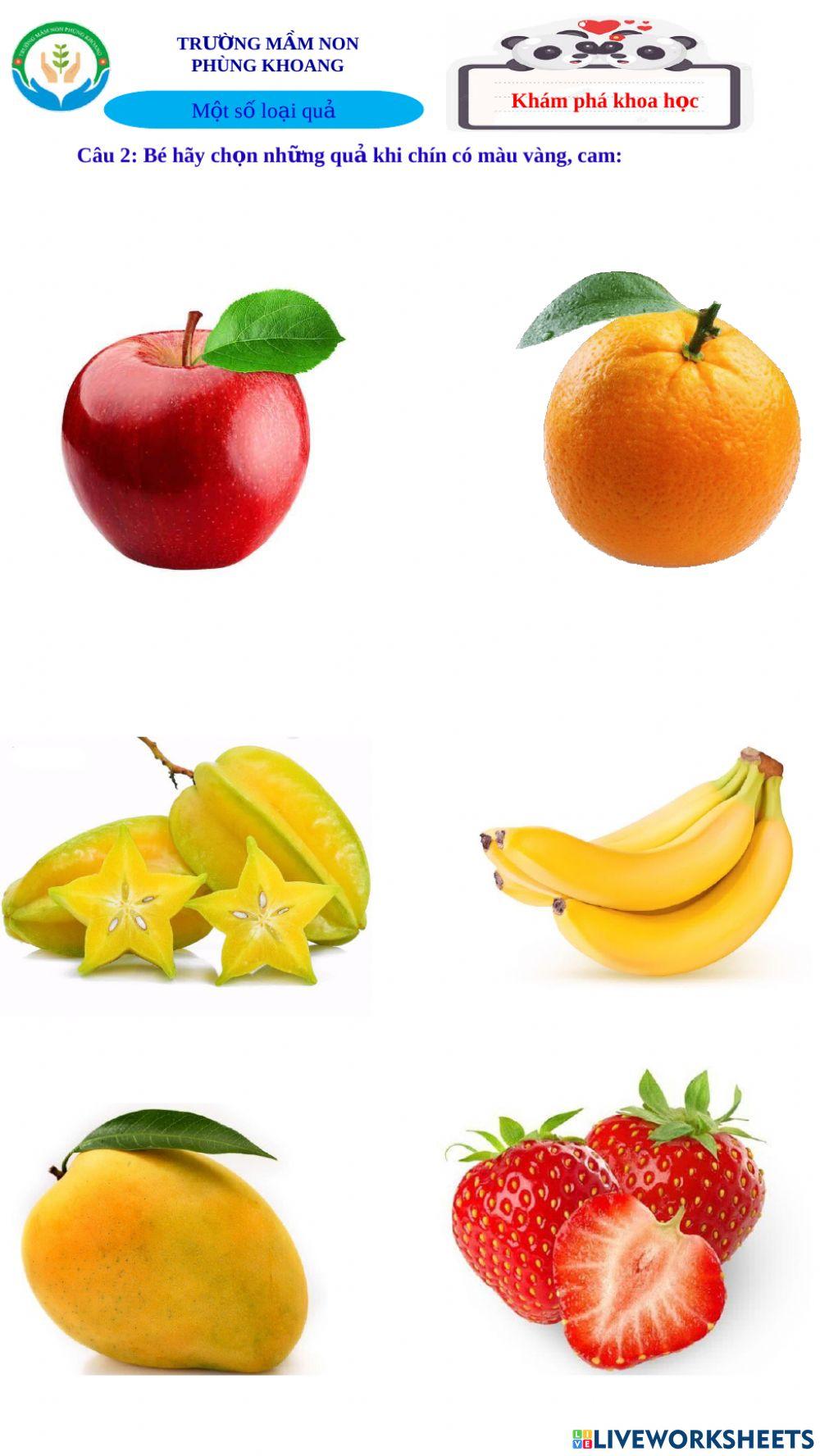 Khám phá khoa học