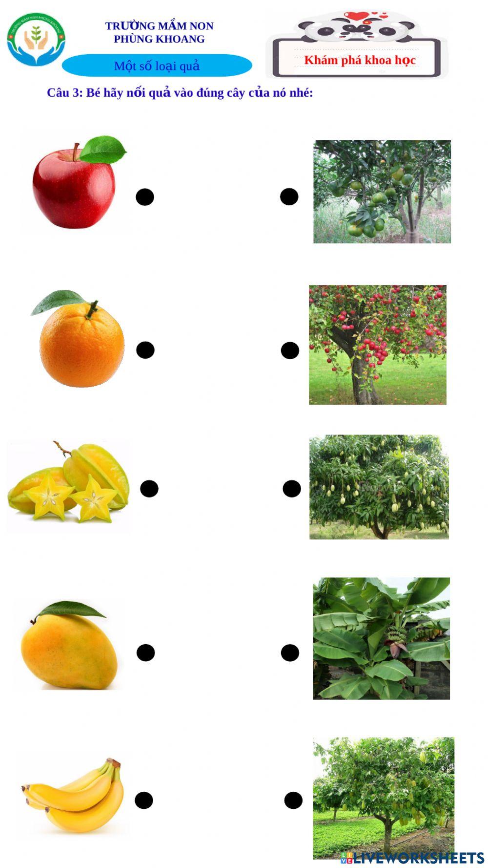 Khám phá khoa học