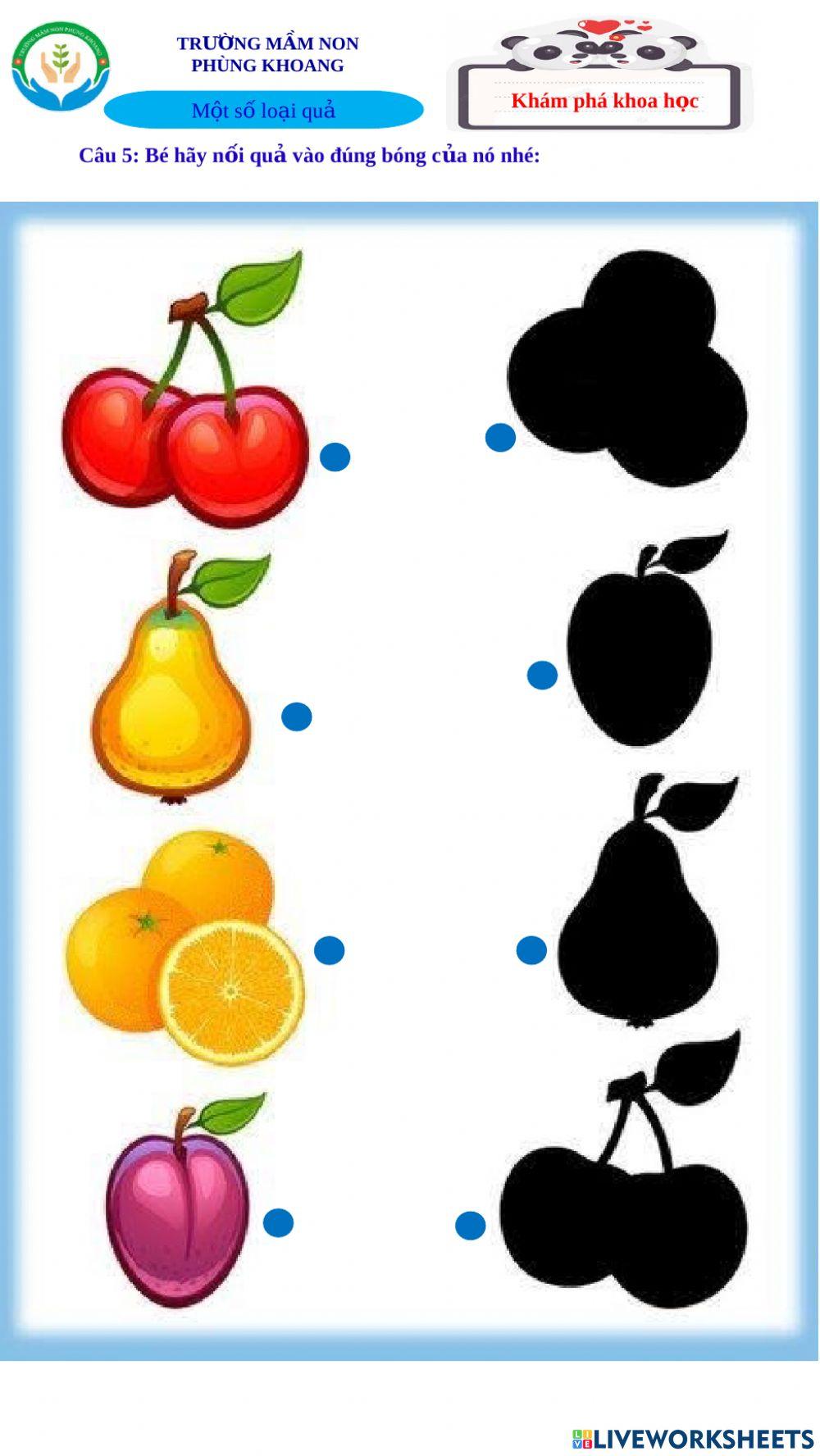 Khám phá khoa học