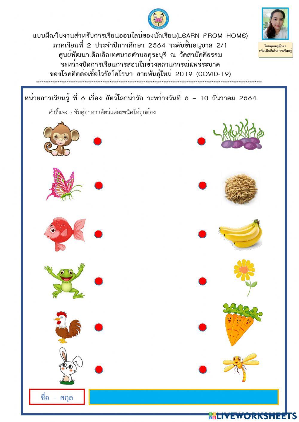 สัตว์โลกน่ารัก
