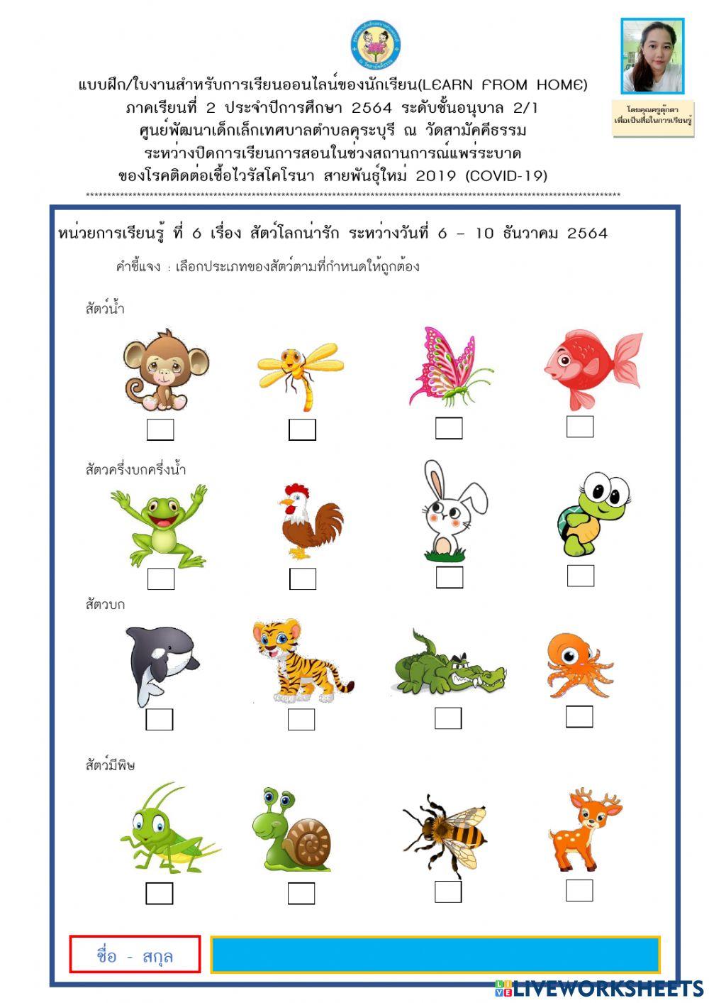 สัตว์โลกน่ารัก