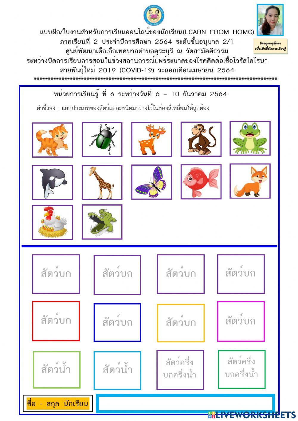 สัตว์โลกน่ารัก