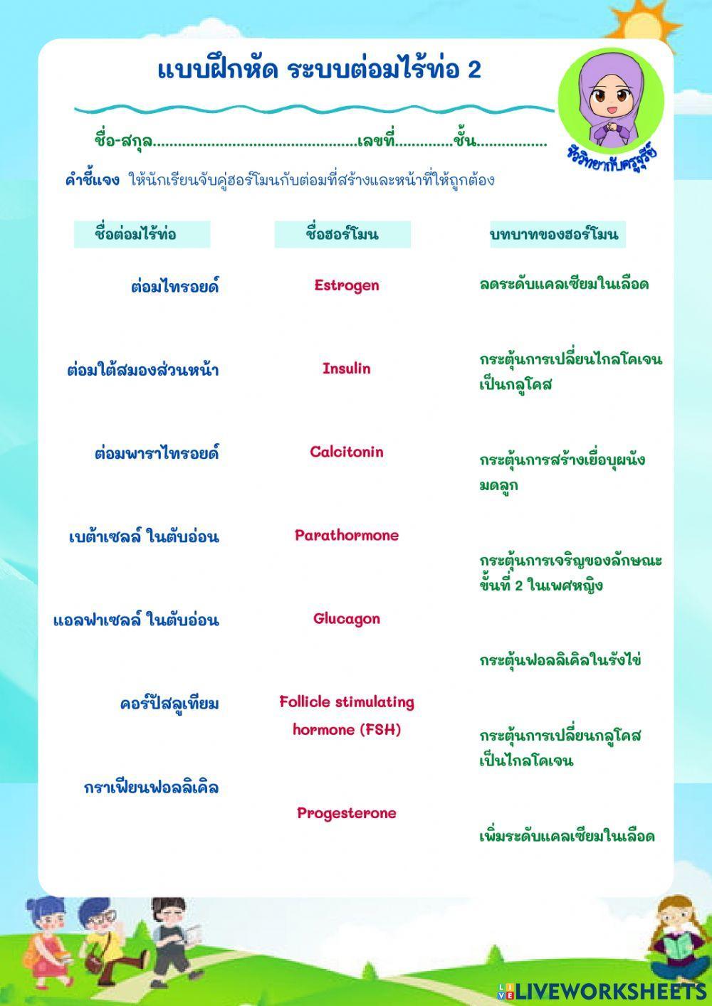 ระบบต่อมไร้ท่อ2