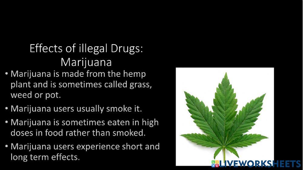 Health and Family Life