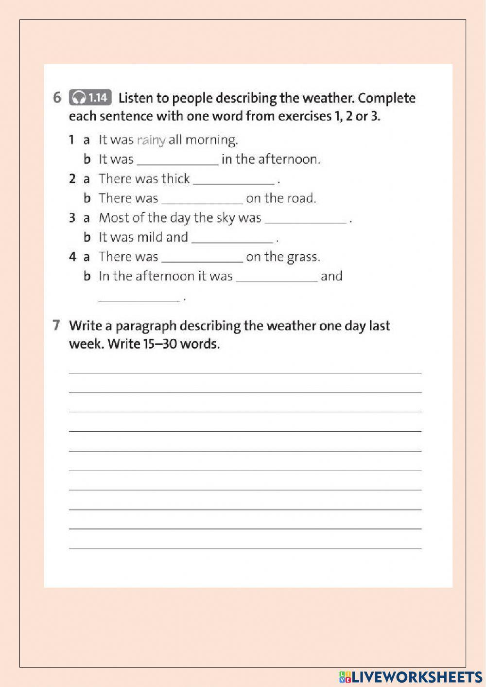 Weather Solutions WB Unit 4.1