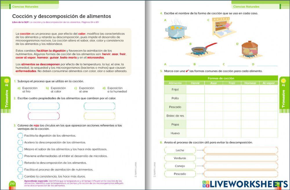 Cocción y descomposición de alimentos
