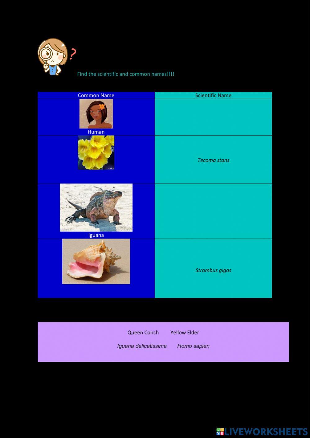 Common and Scientific Names