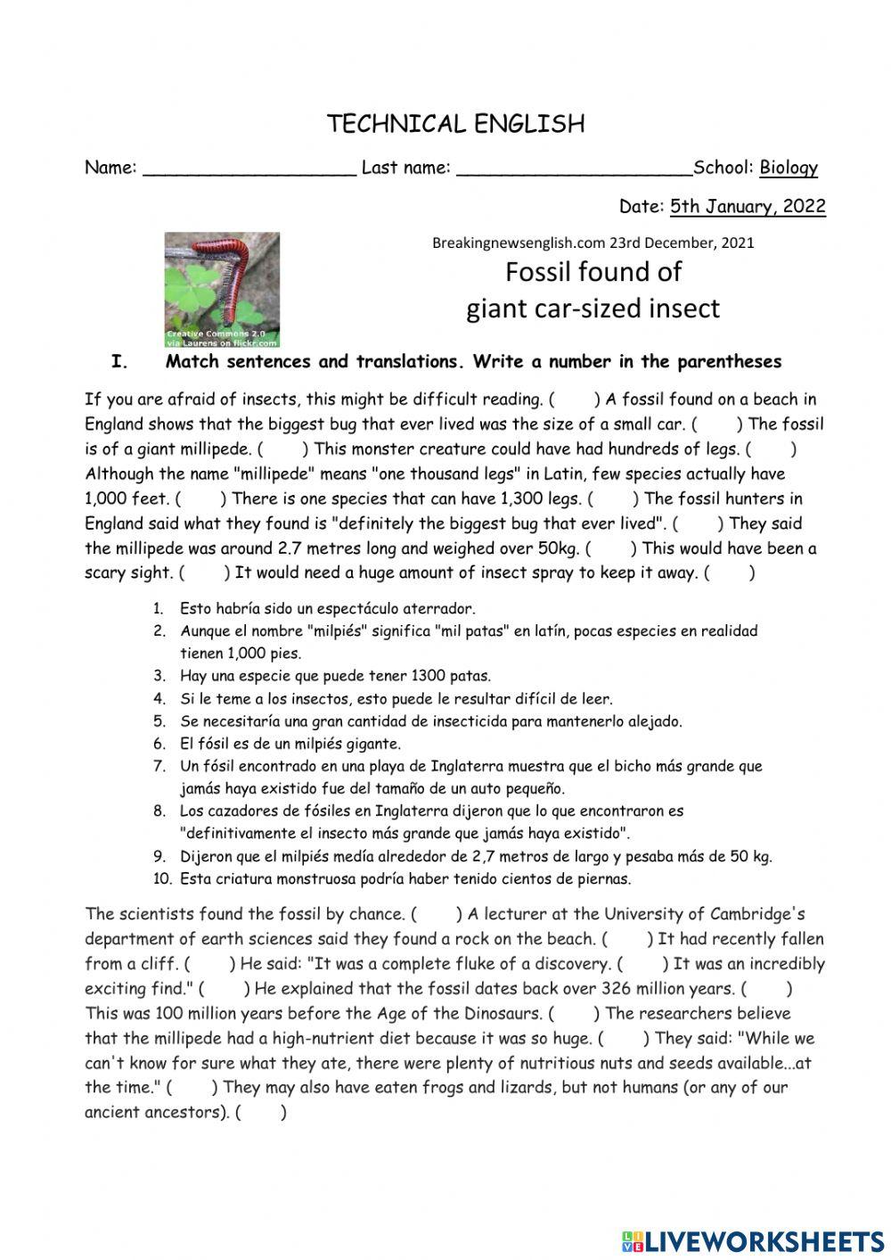 Text: Fossil found of  giant car-sized insect