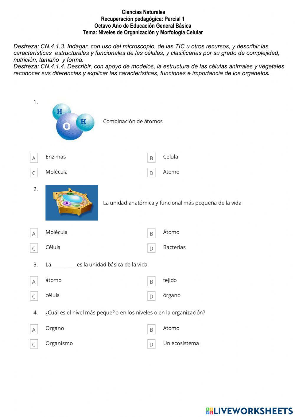 Recuperación Pedagógica CCNN8