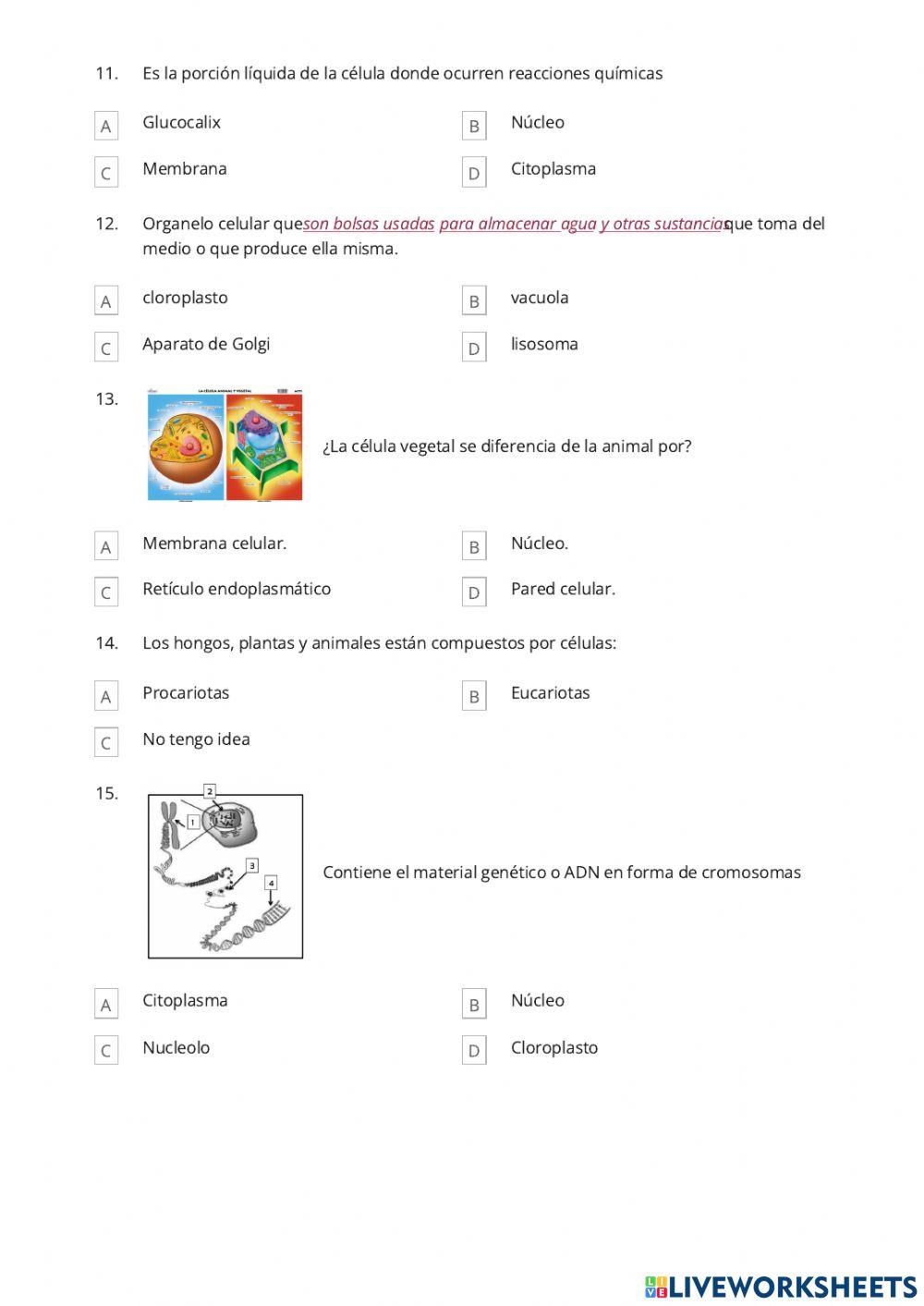 Recuperación Pedagógica CCNN8
