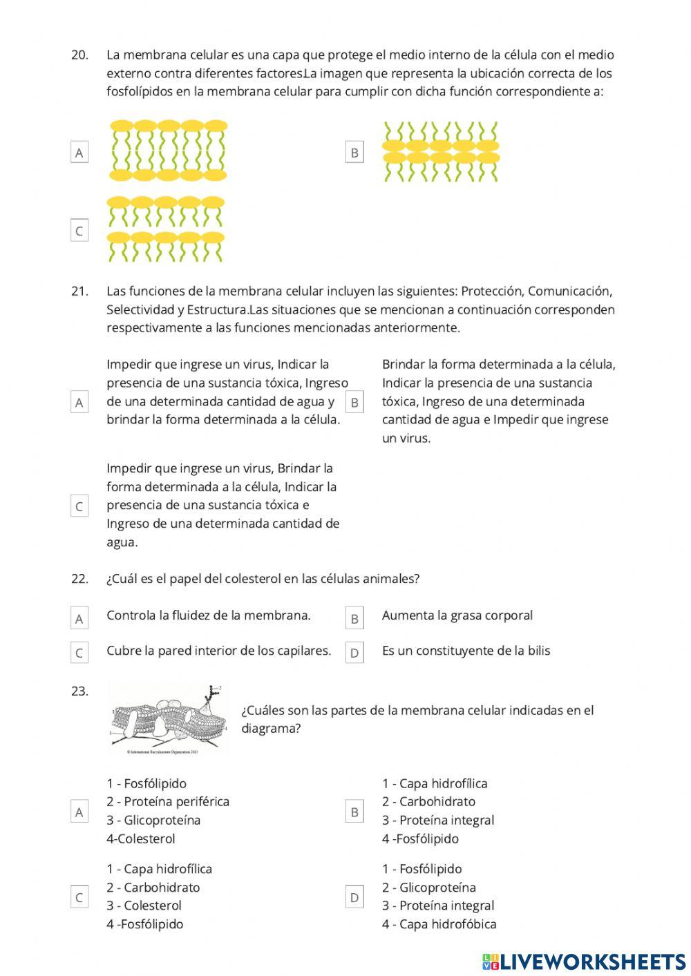 Recuperación Pedagógica CCNN8