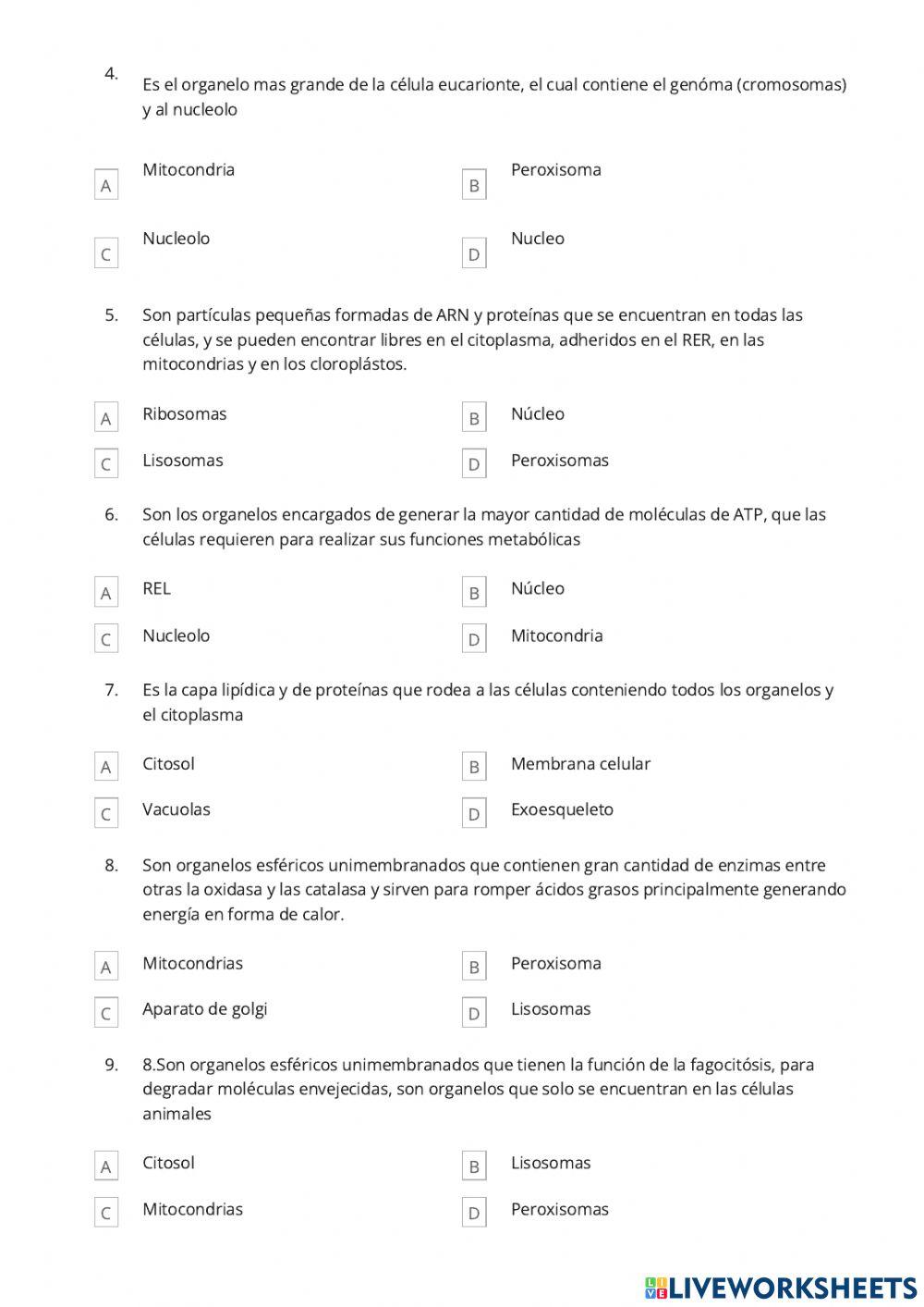 Ciencias Naturales 1 -  RPP1