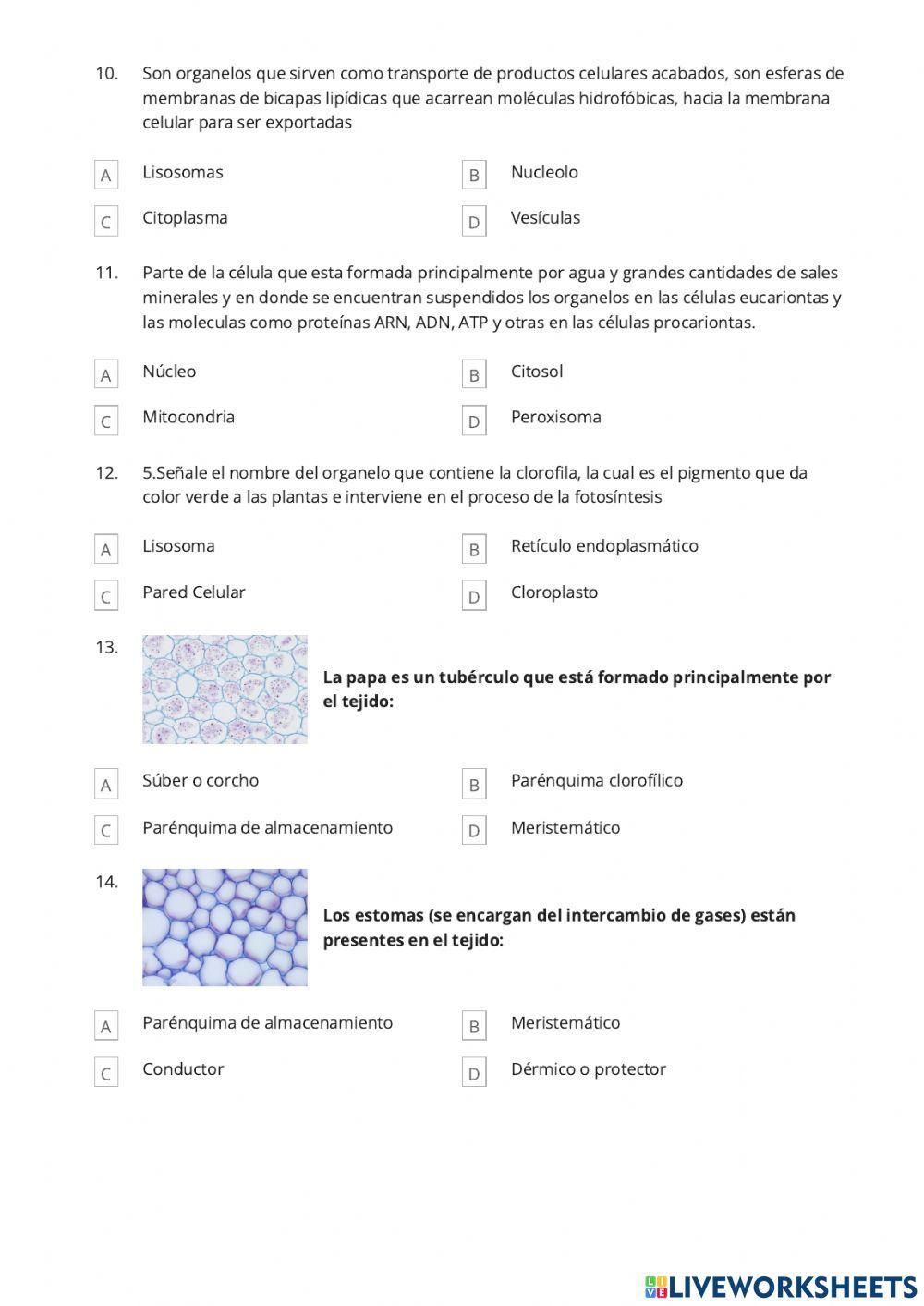 Ciencias Naturales 1 -  RPP1