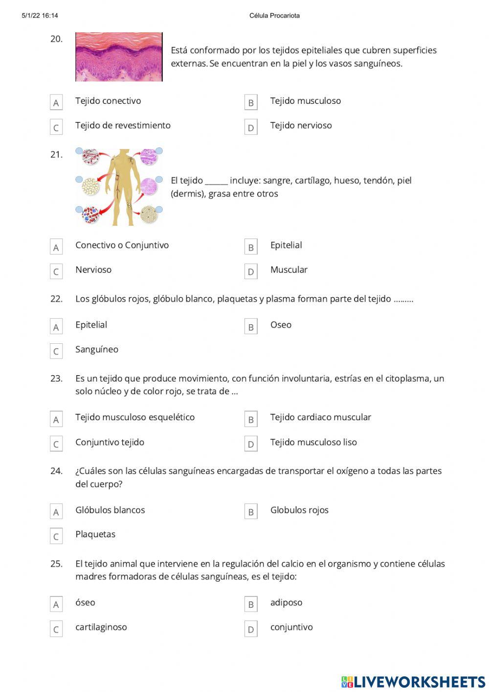 Ciencias Naturales 1 -  RPP1