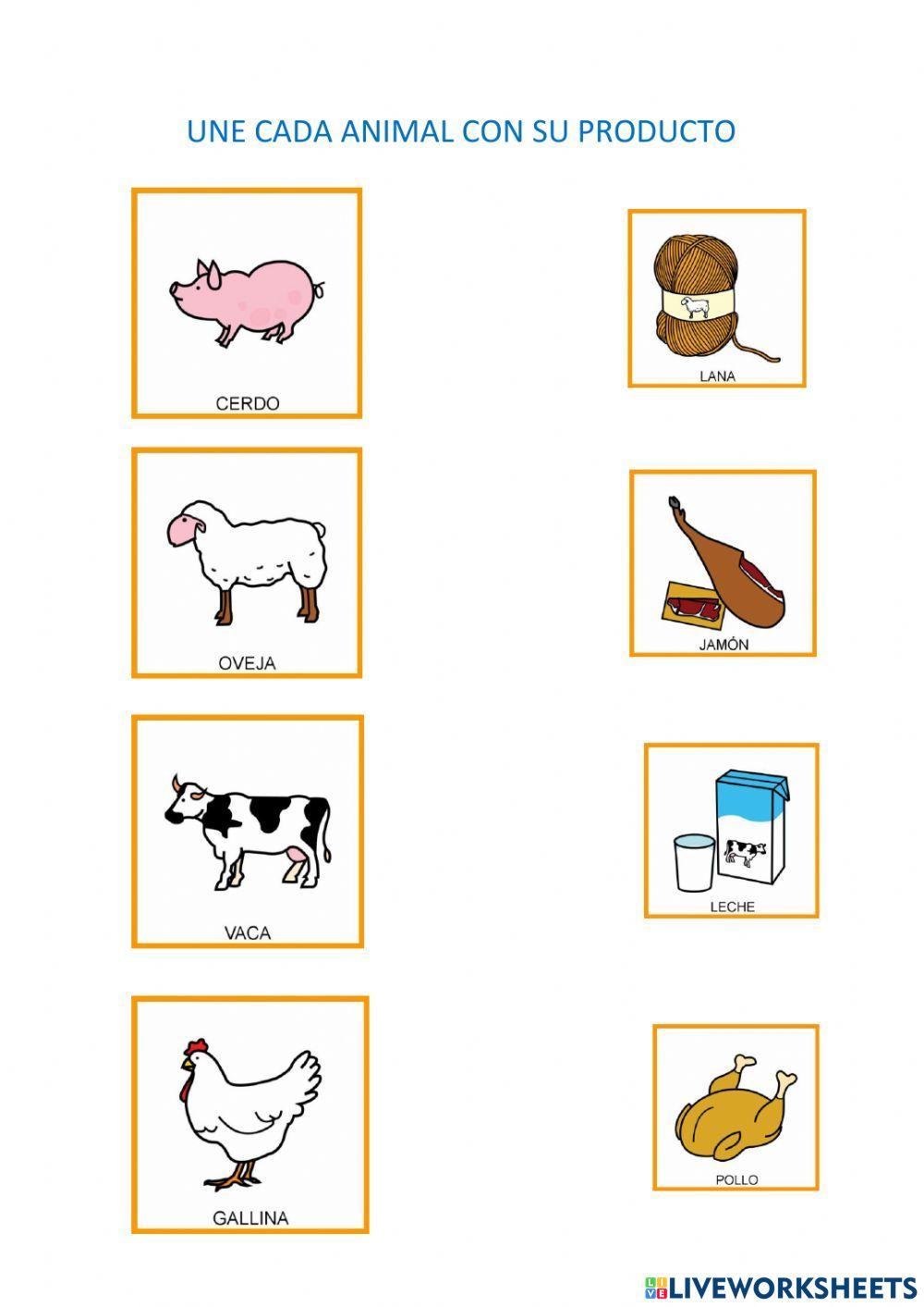 Productos provenientes de los Animales.
