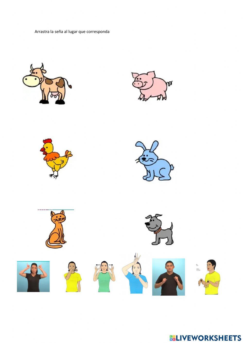 Animales domésticos