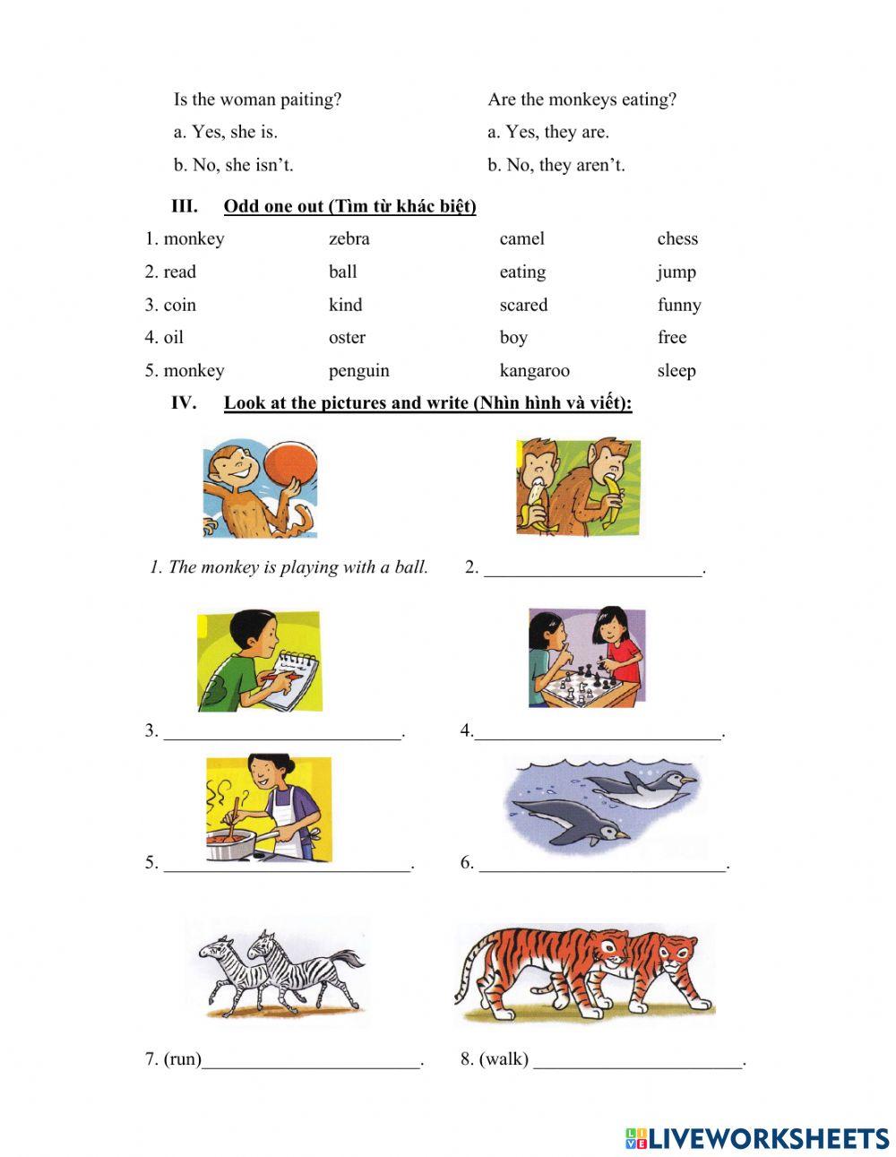 GRADE 5 REVIEW 3
