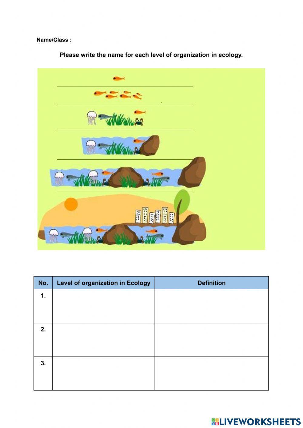 Levels Of Ecological Organization Worksheet
