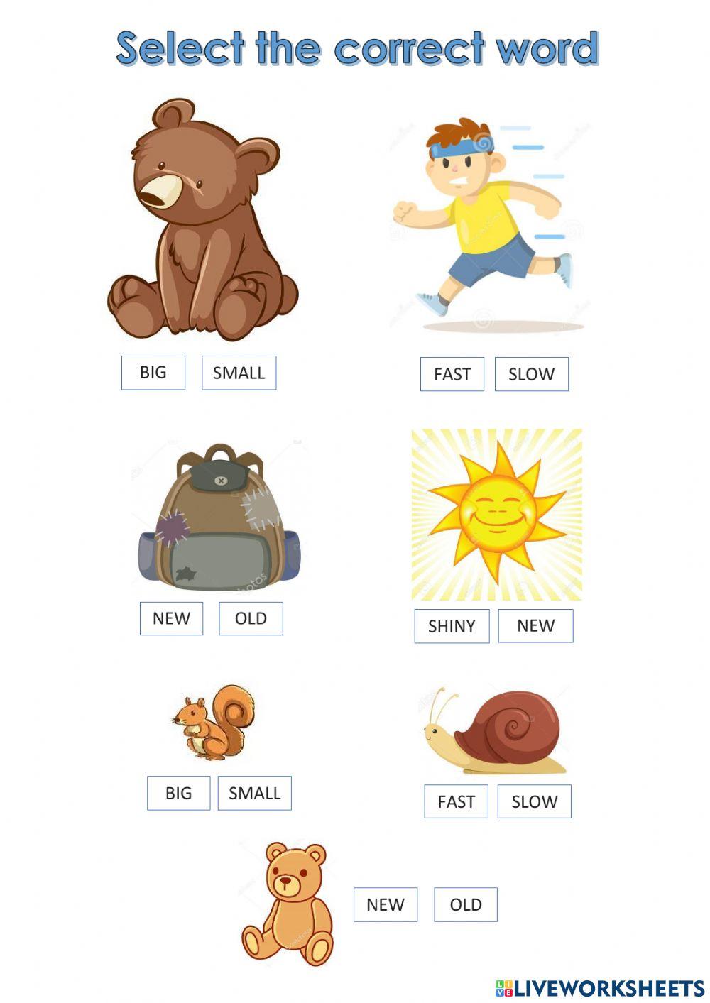 Adjectives to describe things