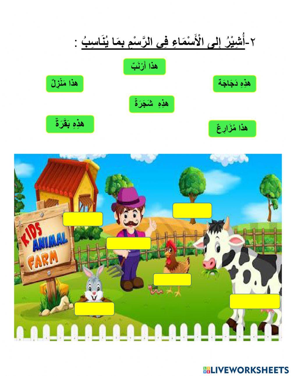 الْمذكّر والمؤنّث 1