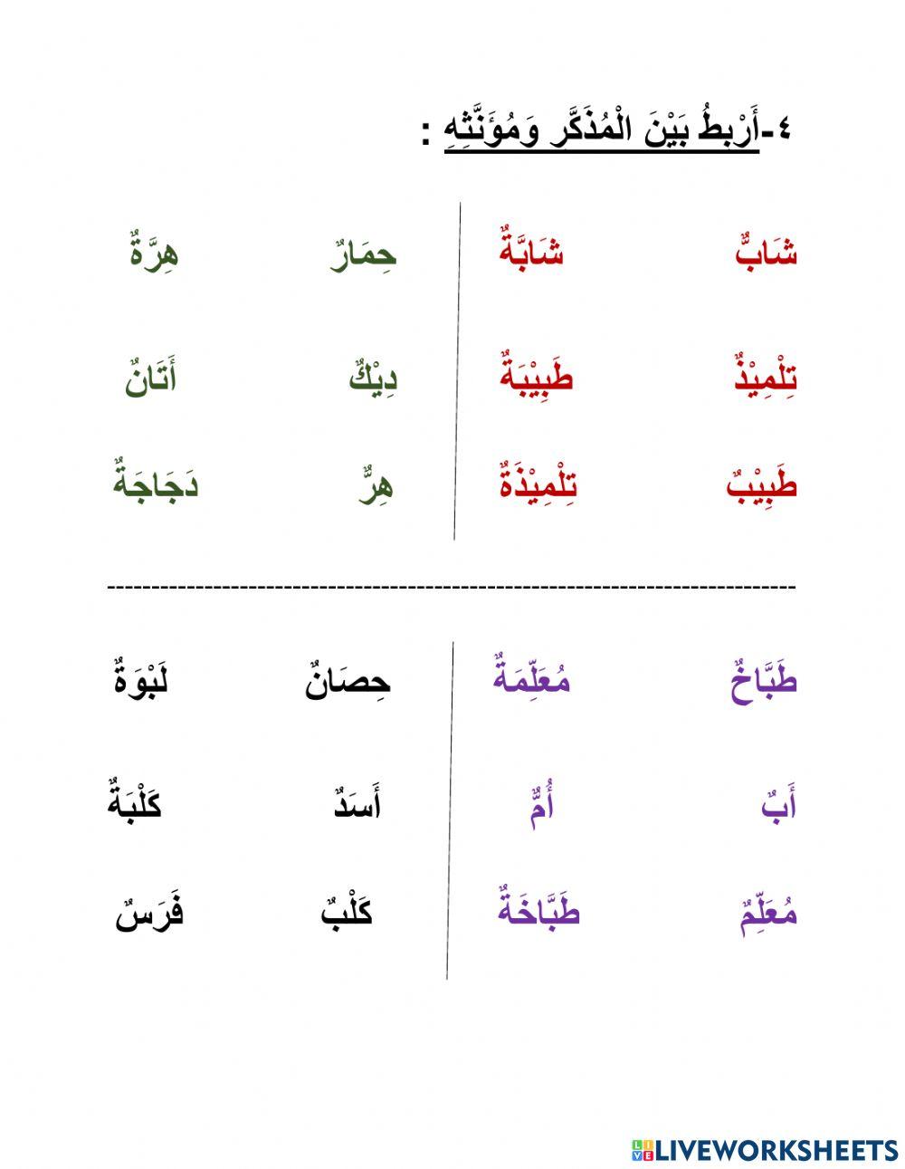 الْمذكّر والمؤنّث 1