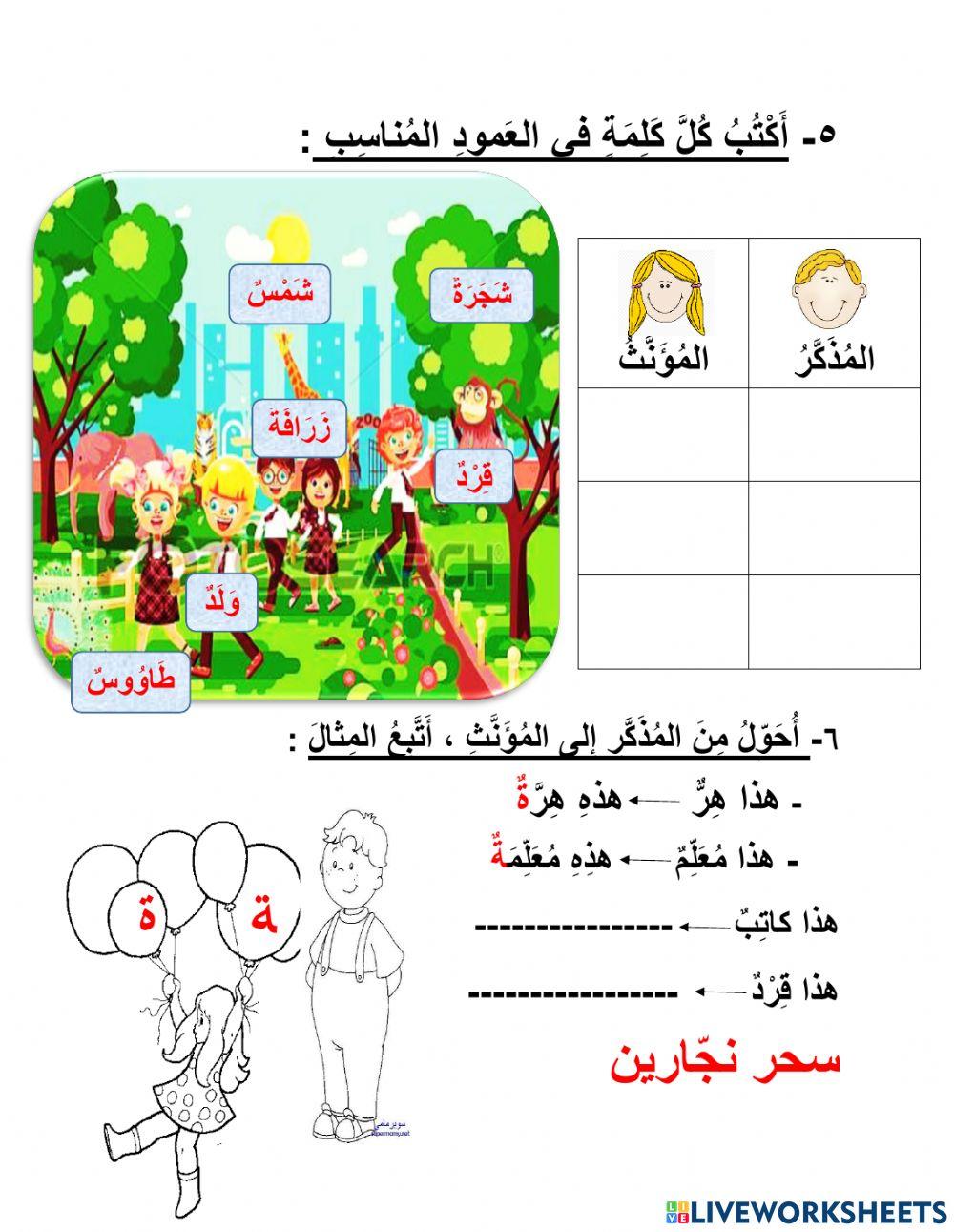 الْمذكّر والمؤنّث 1