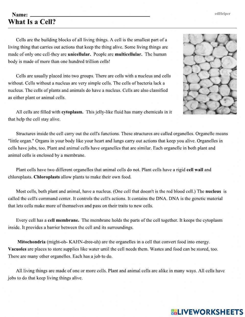 what-is-a-cell-6807523-cherita-pugh-live-worksheets