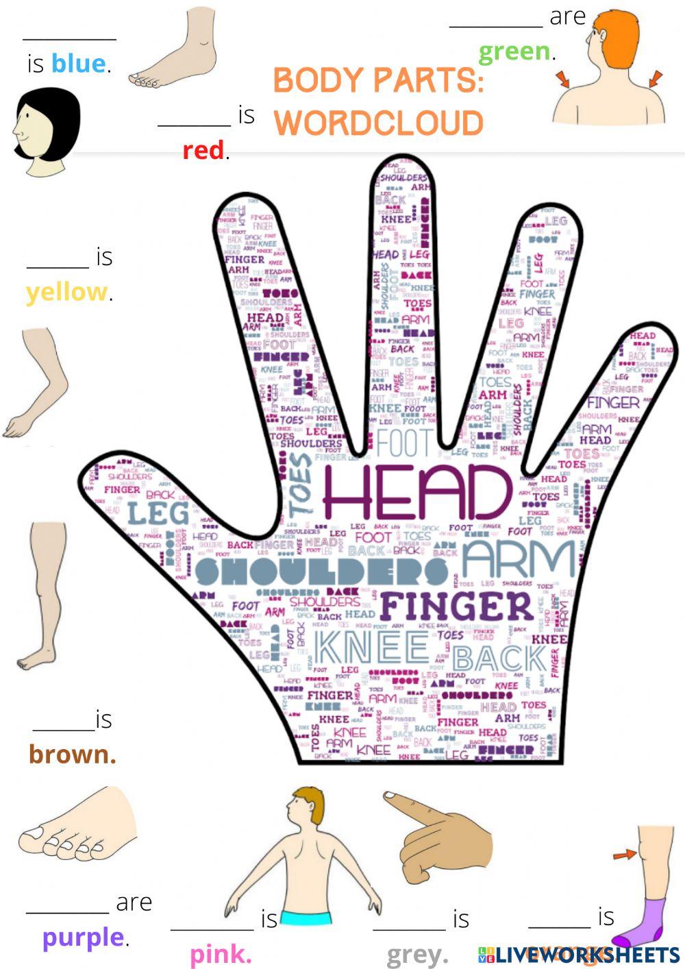 Wordcloud body parts