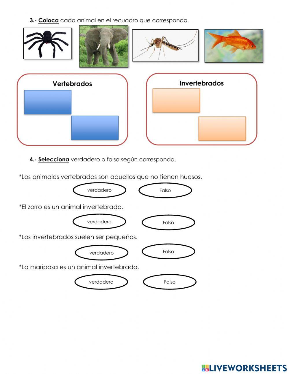 Animales vertebrado e invertebrados