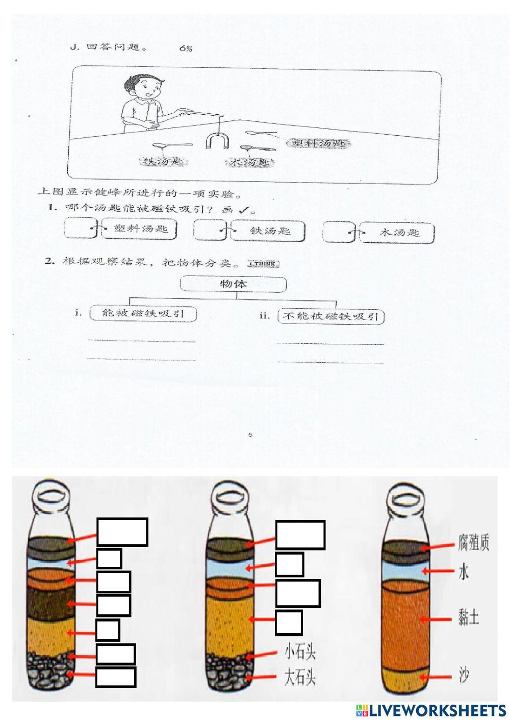 一年级科学复习 4