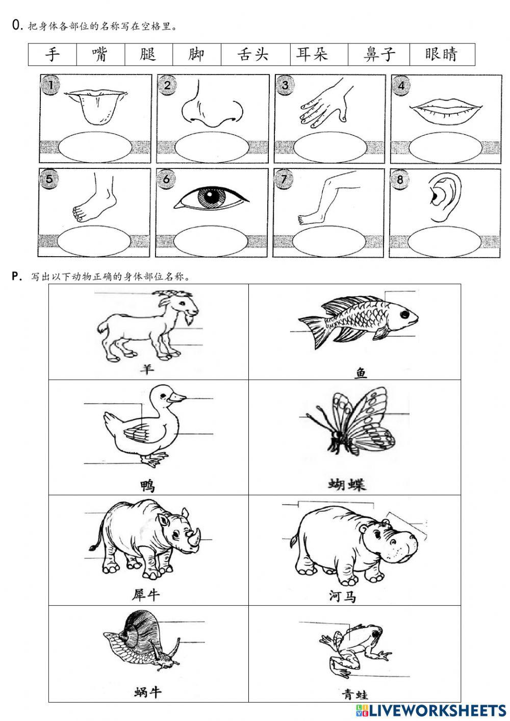 一年级科学复习 4