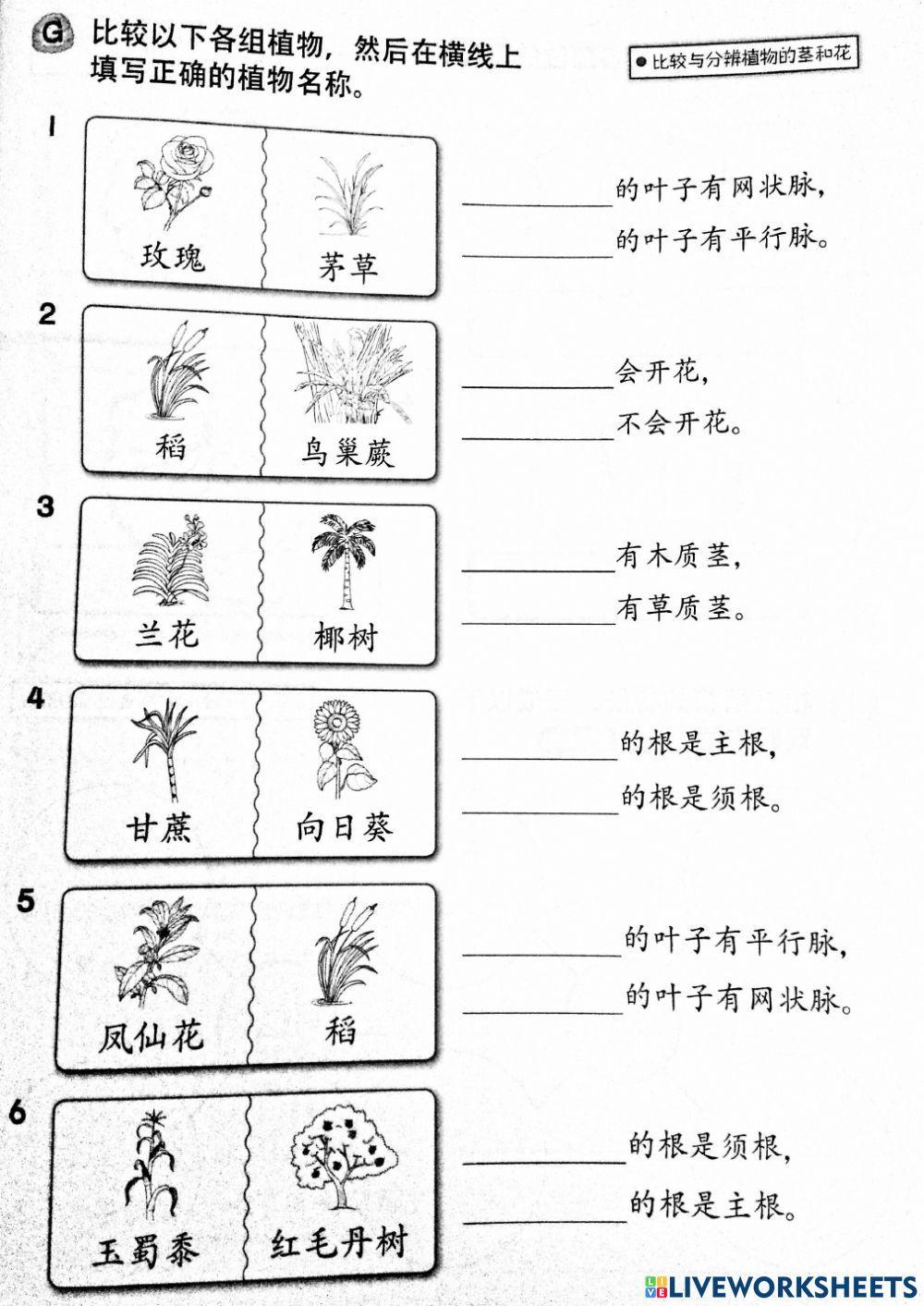科学 下半年评审